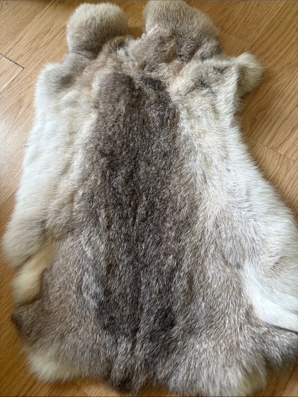 B0124 rabbit pelt - Picture 2 of 2